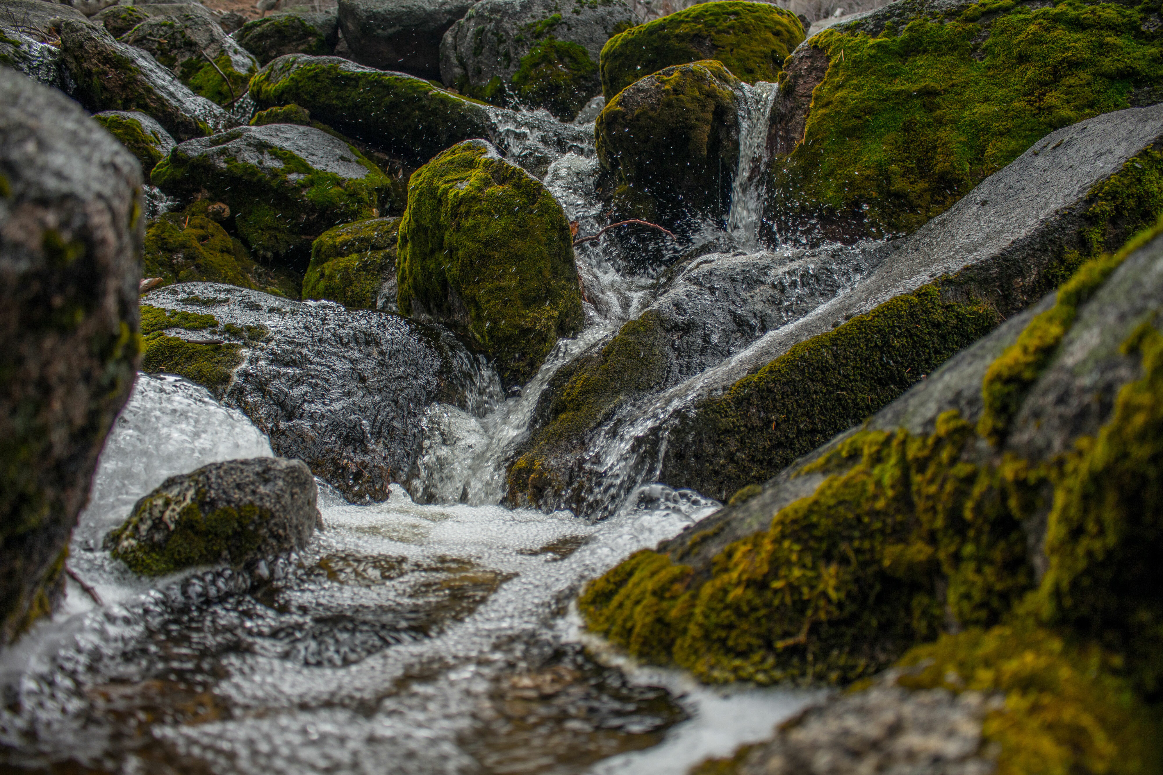 Listen to a river or stream — Generation Wild
